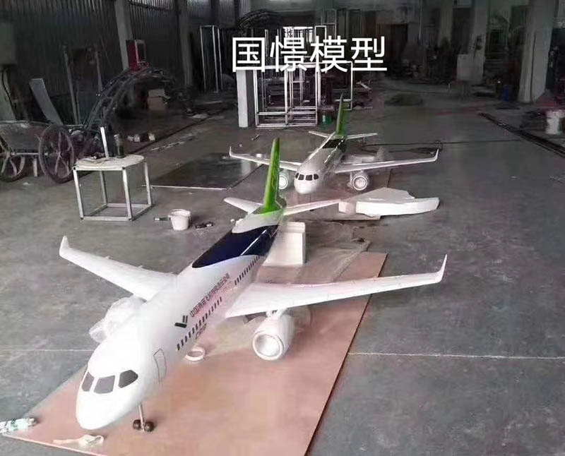 景洪市飞机模型